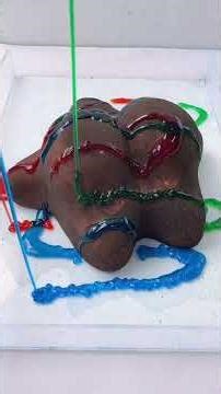 bird pie big star and heart immersive cleaning super stress-relieving#纳德#Cure#Help with