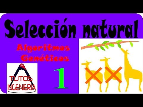 🔬 Selection of Genetic Algorithms