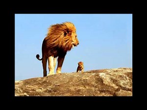 【歌ってみた】サークルオブライフ:ディズニーライオンキングから