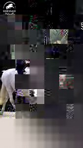 Highlights of Natilla’s ride at the Iberian Horse Spectacular at the World Equestrian Center. So honored to be invited by hosts The Baroque Equestrian Games & Institute. #iberianhorsespectacular #worldequestriancenter #baroqueequestriangamesandinstitute #dressagenaturally#bareback #bridlelessdressage #bridleless | Dressage Naturally with Karen Rohlf-Training, Clinics, Educational Material