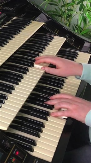 Florian Hutter Plays