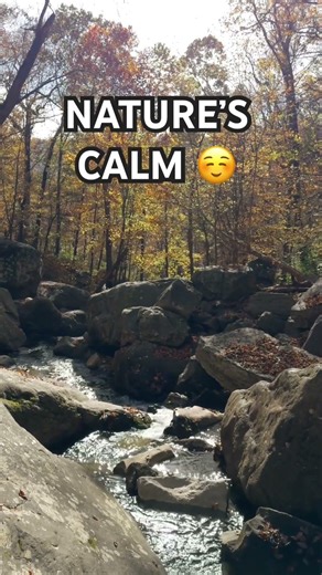 Relaxing Nature Sounds for Stress Relief & Calm Moments