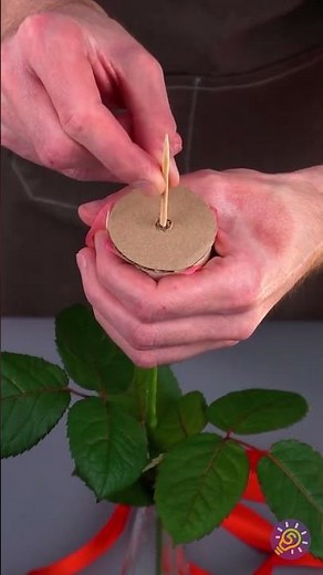 ¡De una rosa a una peonía en 2 minutos! Una transformación mágica de flor con tijeras. 🌹➡️🌺✂️