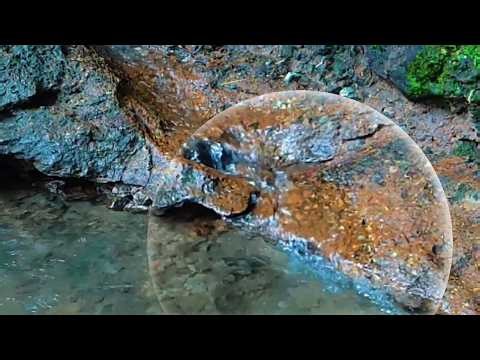 Gentle Trickling River Sounds | Soft Flowing Water for Deep Sleep & Relaxation