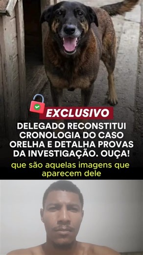 Martino Junior on Instagram: "EXCLUSIVO 🚨 Delegado-geral da Polícia Civil de Santa Catarina reconstrói, passo a passo, a cronologia do Caso Orelha e detalha as principais provas da investigação. Em entrevista , o delegado Ulisses Gabriel revela os movimentos do adolescente apontado como autor do crime e informações que, segundo a polícia, a família tentou esconder. O caso investiga a morte de um cão comunitário na Grande Florianópolis e também se conecta ao chamado Caso Caramelo. 🎧 #CasoOrelha