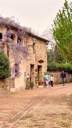 4.2K views · 137 reactions | Savona  IG, Lorenzo Giorgetti | Italian Fashion victim | Facebook