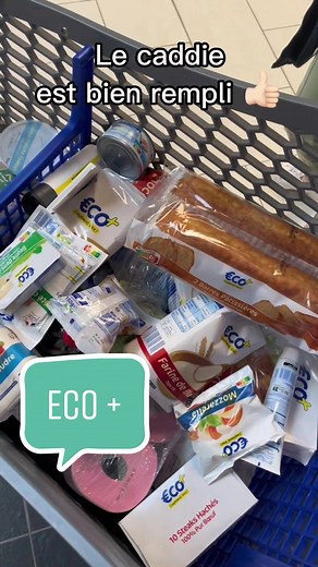 Les courses pour la famille à 80€ c’est possible avec ECO !! #budget #inflation #ecoplus #courses #course #famille #leclerc #hypermarché