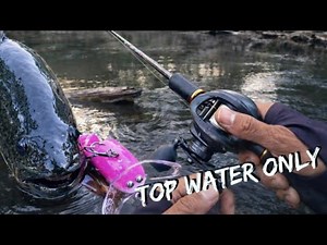 Slow Murray Cod Day... But surface Lures Saved it !