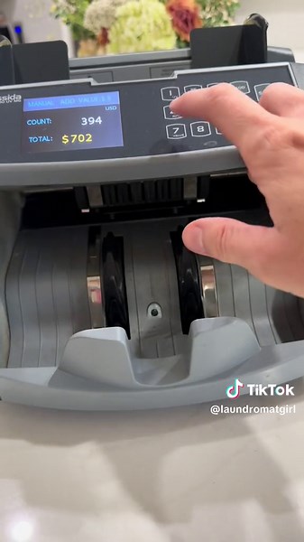 June Total Revenue: Laundromat Business Profits