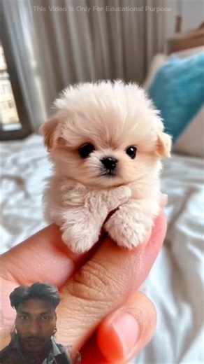 Snow Boots Prank With Neighbour On Car#😱shorts#viral#trending#viral#viralvideos#viralshort🤯