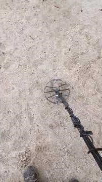 Nokta Simplex Ultra Silver Tone & Vdi