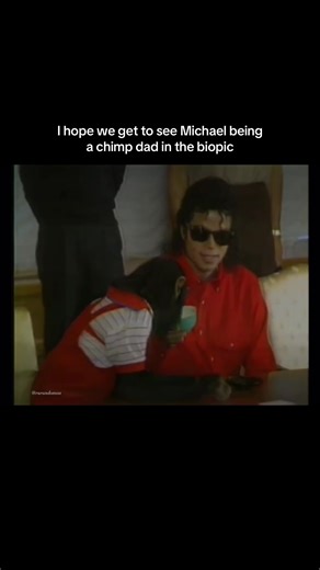 He took Bubbles eeeeverywhere in the 80s. He also had 2 other chimps called AJ and Max. Bubbles was his biggest baby lol. His chimps were eventually rehomed but they were with him for a long time, up until the early 2000s I believe. He even spoke about them in the 2003 bashir doc. #michaeljackson #mj #michaeljacksonfan #mjedit #michaeljacksonedit Michael Jackson bubbles bad thrad dangerous history invincible era tour AJ max chimps chimpanzees Michael biopic 1980s 80s 1990s 90s 2000s