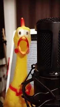 Stay - Featuring Mr. Chicken Official