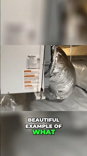 Dehumidifiers can save your home!