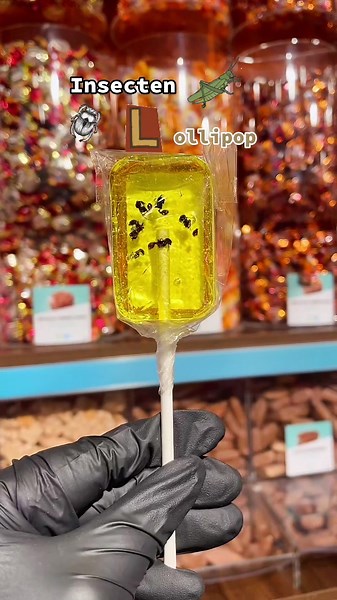 Unforgettable Treat: Trying Insect Lollipops at Jamin Spijkenisse