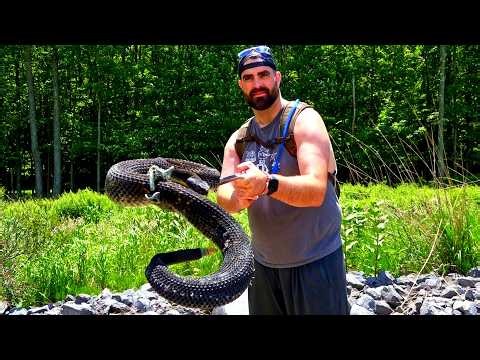 Pittsburgh Hunts RATTLESNAKES! We Found 33 SNAKES & Secret Rock Camp Deep In The Pa Wilds 🐍 2026
