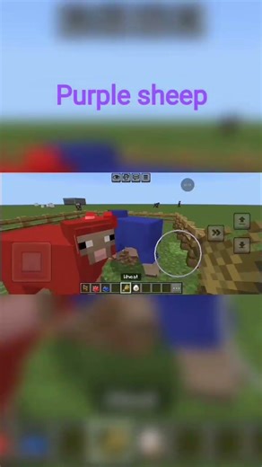 #minecraft purple sheep