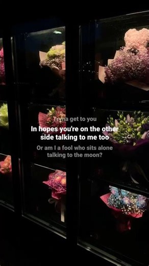 Talking to the Moon - Bruno Mars (Lyrics)