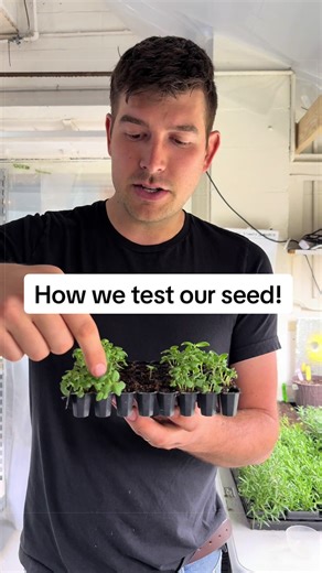 How We Test Our Seeds for Optimal Quality