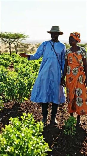 The Great Green Wall (GGW)