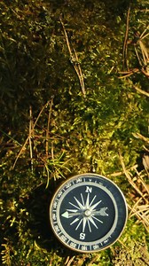 From rolling hills to dramatic coastlines, Jeep and Ordnance Survey have mapped out the ultimate 'off the beaten track' locations through England, Scotland, and Wales. It's time to set your compass and explore the untapped beauty of the UK. 🌿🗺️ #GetLostwithJeepCompass #OrdnanceSurvey #OSMaps | Jeep UK