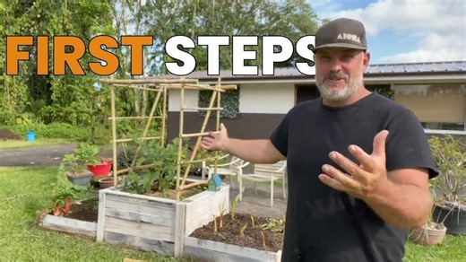 Starting a new homestead: Key insights for beginners