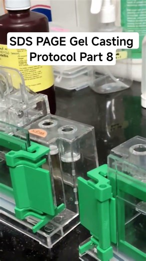 SDS PAGE Gel Casting Protocol Part 8 #biochemistry #science #phdlife #gradlife #phdproblems #phdblog