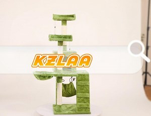 Watch How to Install the Cat Tower on Amazon Live