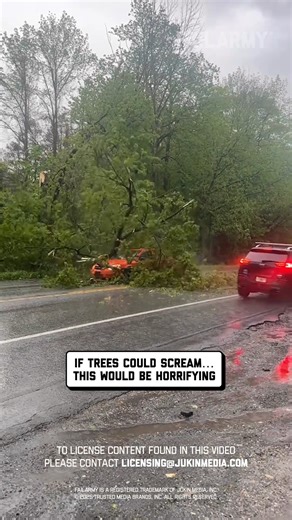 25K views · 192 reactions | when you close your eyes driving for kicks...  藍 #propertydamage #carfails #carcrash #caraccident #damage #fail | FailArmy | Facebook