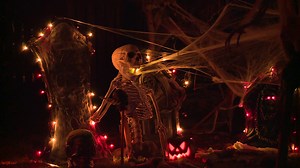 VERIFY: Fake spiderwebs and some other holiday decorations can pose a danger to wildlife