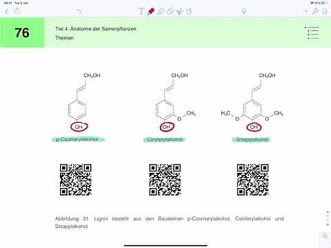 Lignin: Structure and Biosynthesis