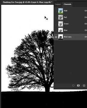 Remove Backgrounds - Short Photoshop Tutorial