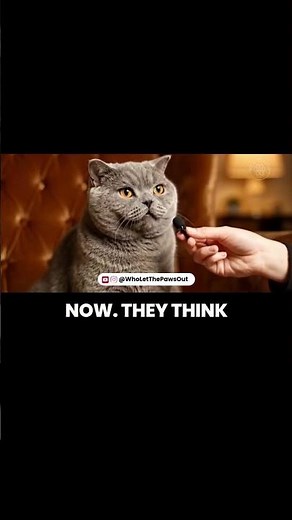 Cat Spills HILARIOUS Secrets About Its Human 😹 | AI Cat Interview