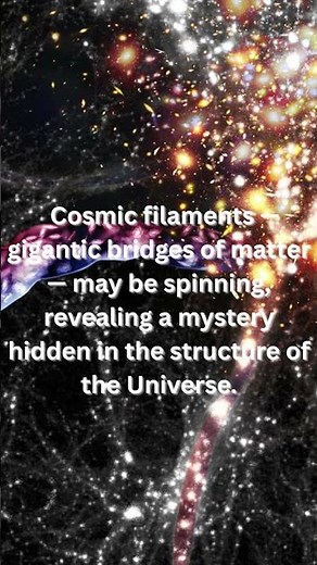 Cosmic Filaments Are Spinning - 2