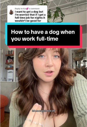 How to Care for a Dog While Working Full-Time