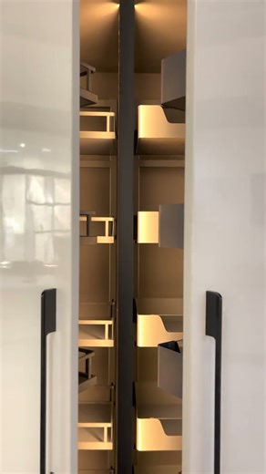 Which Pantry Unit Is Best for Your Kitchen? | Modular Kitchen Guide