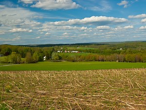 Apartments for Rent in 18452, Peckville, PA | ApartmentHomeLiving.com