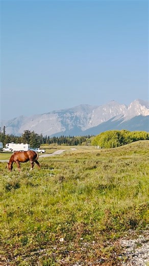 12K views · 402 reactions | Experience a totally different camping experience at Stoney Park Campground #camping #rving #stoneypark #wild horses #nature | Love Michelle | Facebook