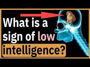 Dog ownership is a path to low IQ . Pattern recognition abandonment. Science backed analysis
