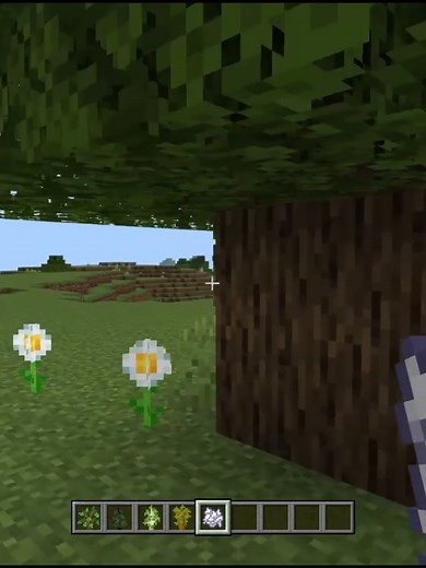 How to Grow Trees Faster in Minecraft Without Bone Meal