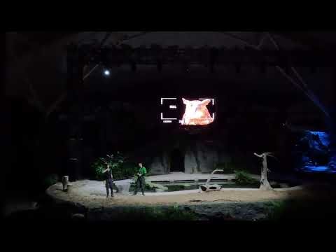🌙 Creatures of the Night Show at Singapore Zoo 🦉✨ | Amazing Animal Performance