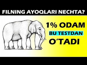 10 ta sur’at yordamida IQingizni bilib oling!