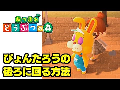 How to get behind Pyontaro [Animal Crossing: New Horizons] Part 35