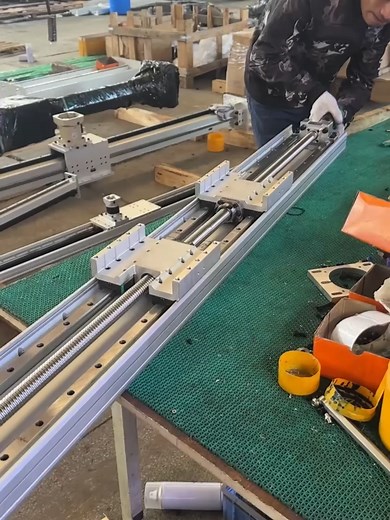 High Precision Double Slider Ball Screw Linear Guide Actuator