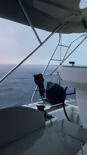 Sailing in stormy, thunderous weather #sailingboat #stormyday