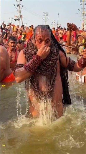 Kumbh Mela: Aastha ke Saath Paryavaran ki Raksha 🌍♻️ #paryagraj #viralvideo #virl