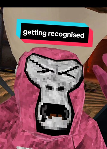 Getting Recognized in Gorilla Tag VR Lobbies