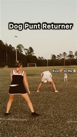 Dog Returns Punt for Touchdown!