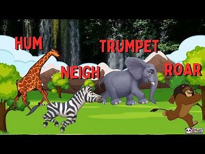 ABC Safari Animals Sounds Song for kids | Learn Animal names and sounds | compilation 30mins