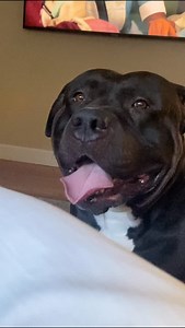 My shadow we call Barolo 🖤 | Sarah Modula